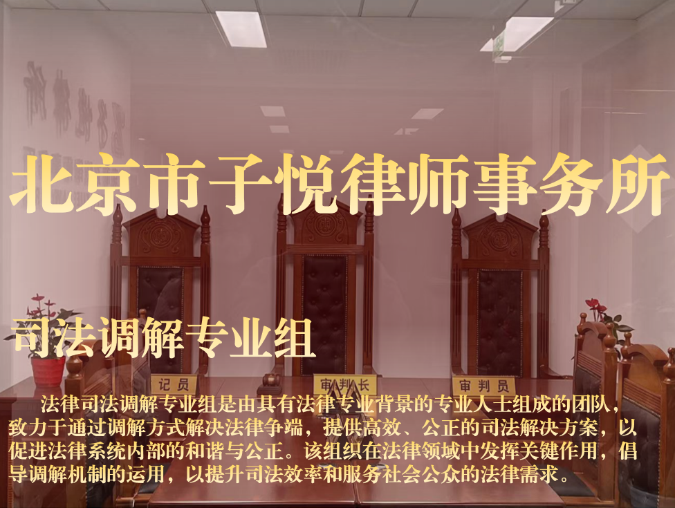 司法调解专业组