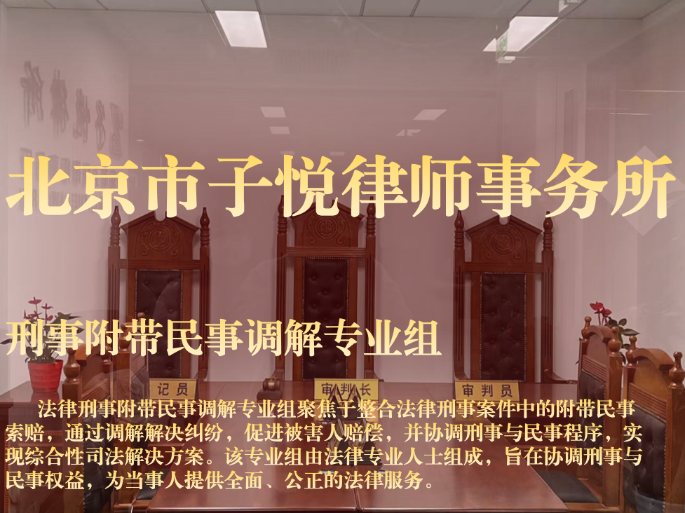 刑事附带民事纠纷调解专业组