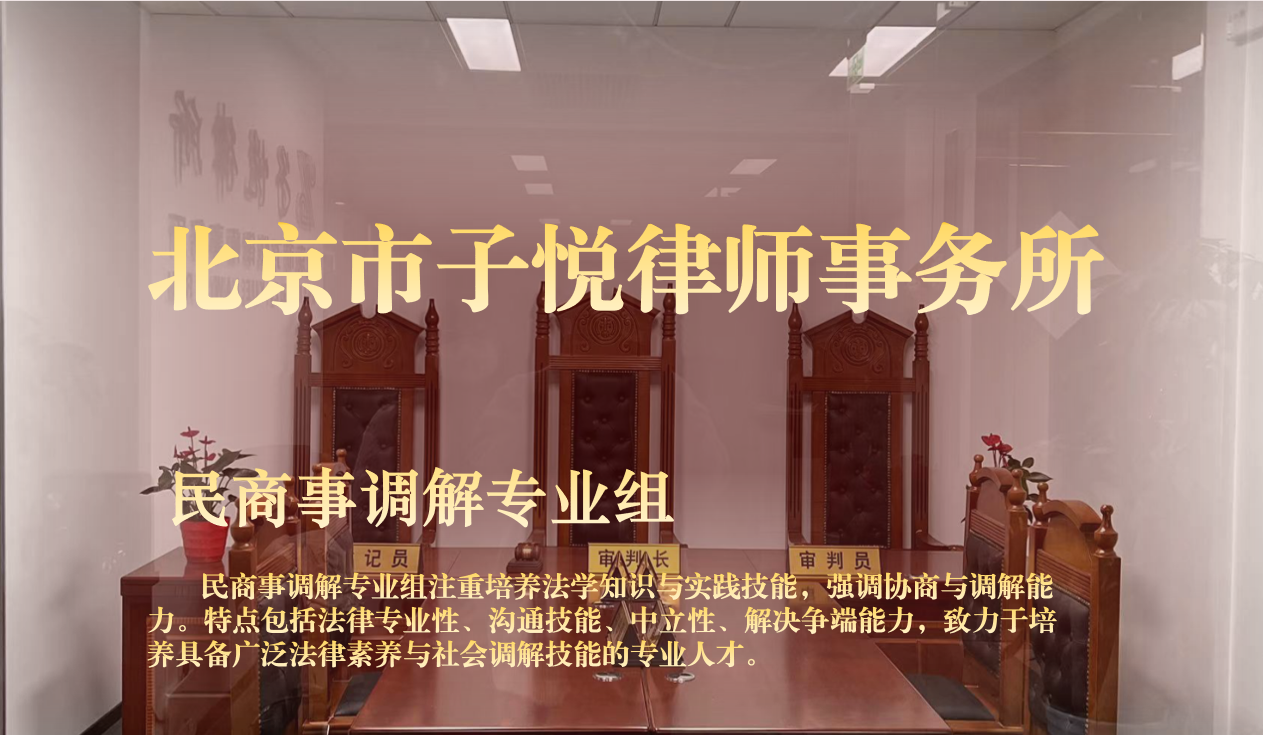 民商事调解专业组