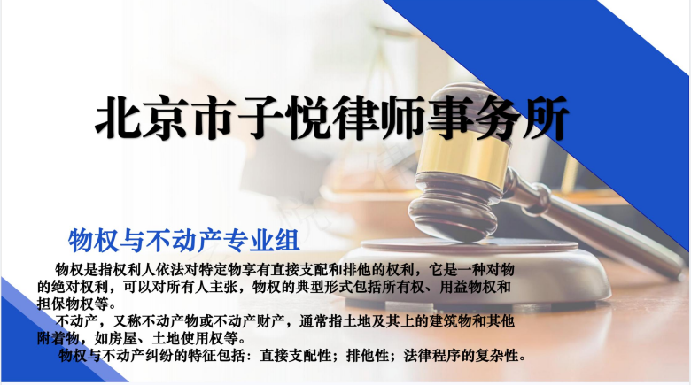 物权与不动产专业组