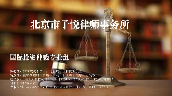 国际投资仲裁专业组