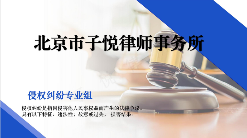 侵权纠纷专业组